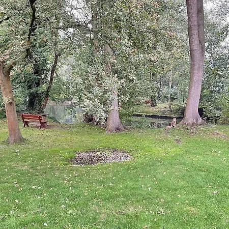 Laubhuette Baum 1 דירה